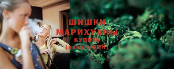 PSILOCYBIN Пересвет