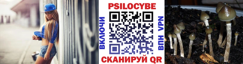 закладка Серафимович Псилоцибиновые грибы Psilocybine cubensis
